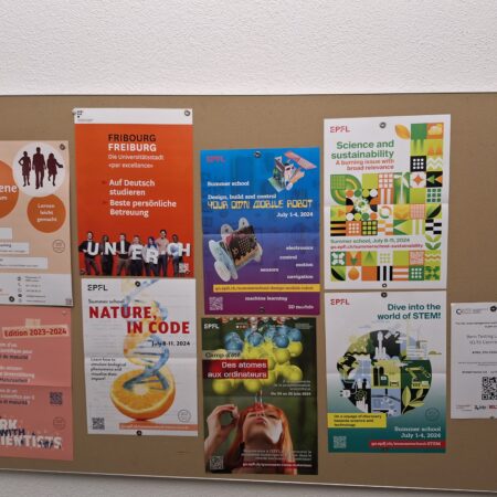 Linguistic Landscape Schulhaus Musegg