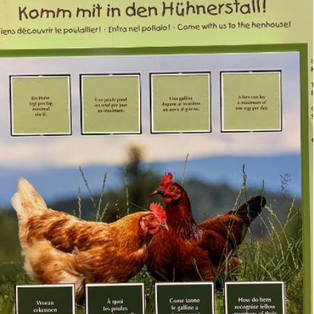 Linguistic Landscape Hühnerstall